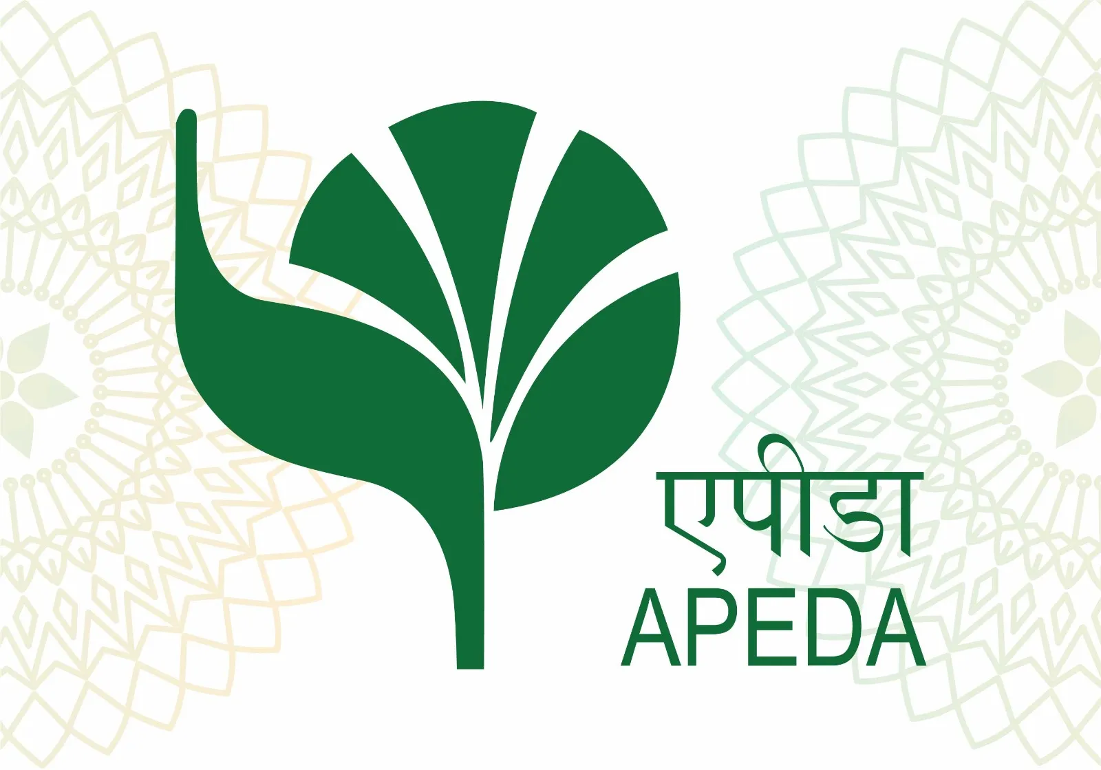 APEDA logo
